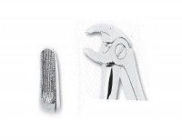 Forceps de Extaccion (para niños) fig.05